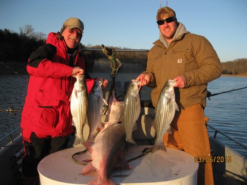 Nice Striped Bass